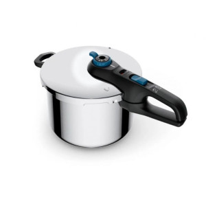 TEFAL ekonom lonec Secure Trendy 8l P2584401